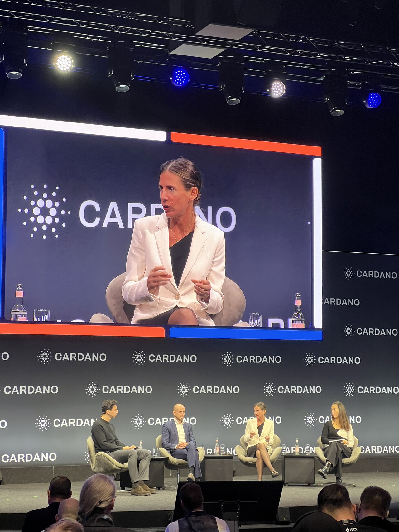Panel discussion on the Cardano stage